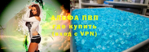 ПСИЛОЦИБИНОВЫЕ ГРИБЫ Беломорск